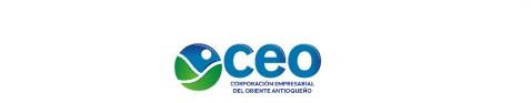 CEO